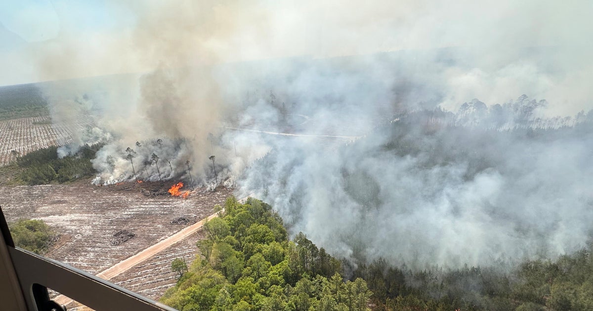 Georgia Wildfires Destroy Over 120 Homes, Scorching 40,000 Acres